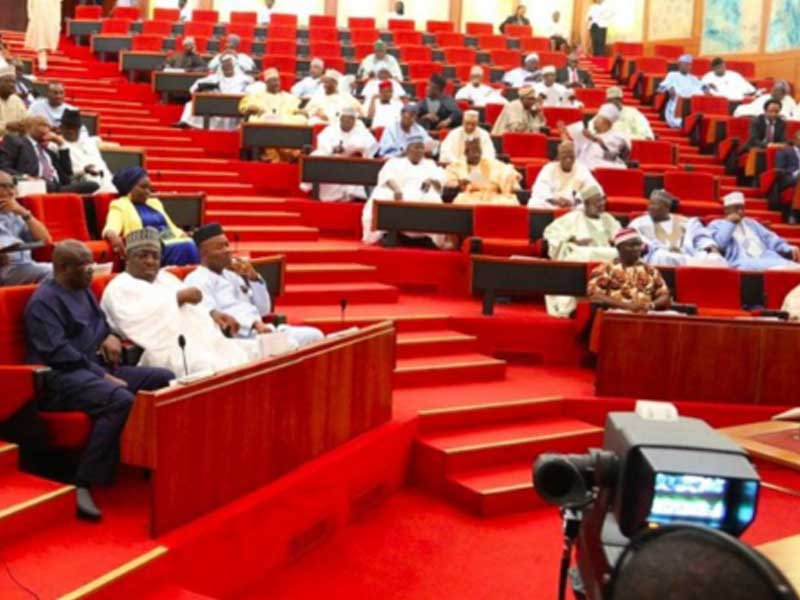 Nigerian Senate Approves Key Amendments to Bills
