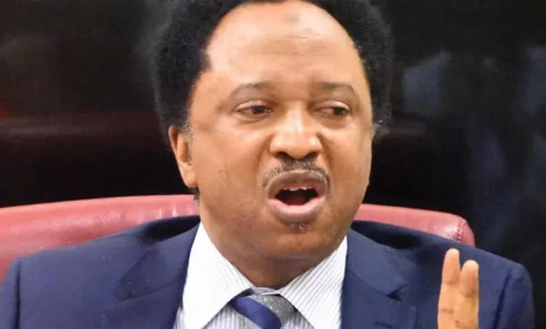 Shehu Sani Links Northern Nigeria Terrorism to 2027 Elections