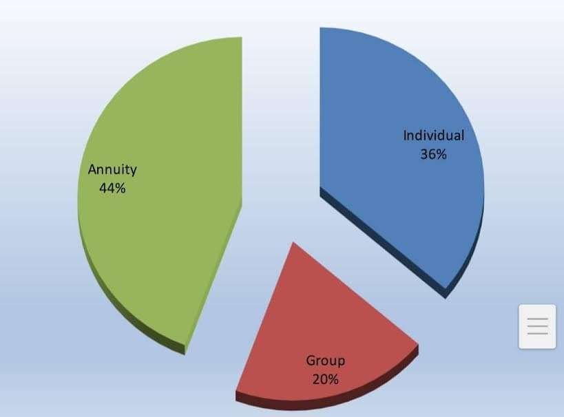 Nigerian Insurance Sector Achieves Record Growth in 2023