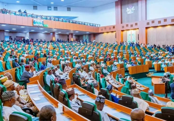 Reps Approve N248.64bn Relief for Electricity DisCos