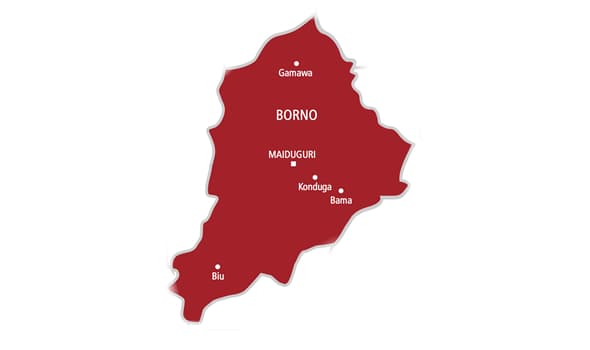 Boko Haram Attack Claims Lives of Four Soldiers in Borno