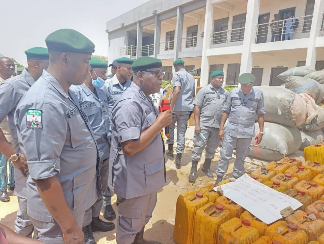 Customs Seize Donkey Meat and Contraband in Adamawa
