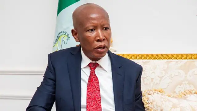 Court Sentences Julius Malema to Five Years for Rifle Incident