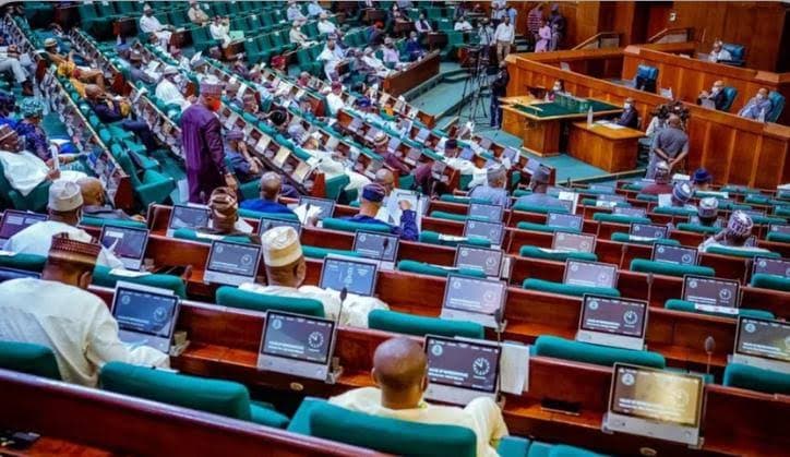 Reps Investigate Insurance for N1.12trn Borrowers' Scheme