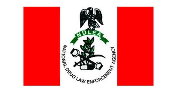 NDLEA Secures 974 Drug Convictions in First Quarter 2026