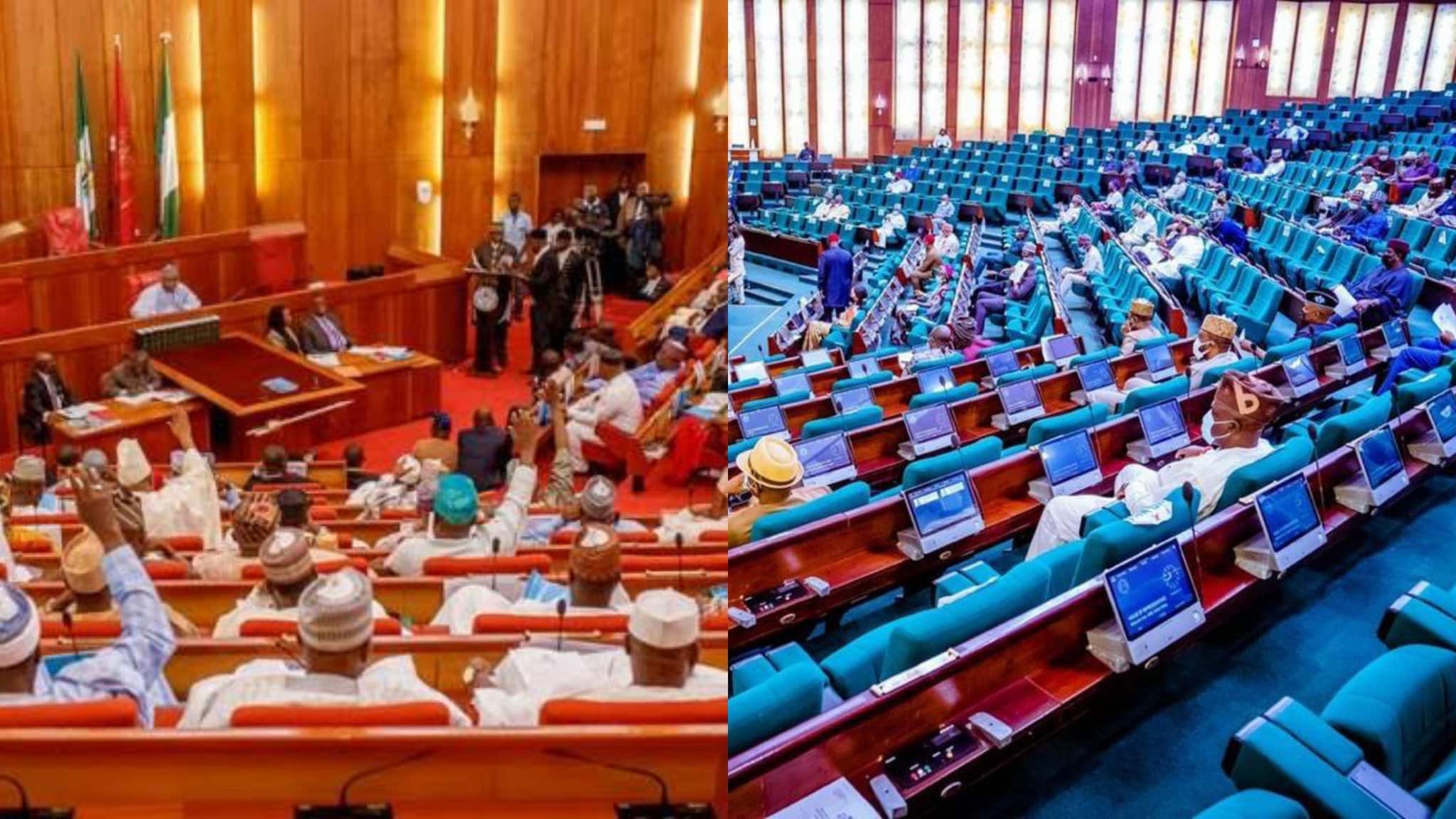 Bandits May Soon Infiltrate Nigerian Senate, Warns Yusuf