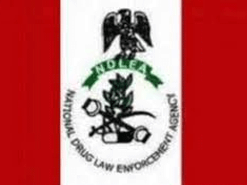 NDLEA Secures 974 Convictions, 11 Kingpins Sentenced