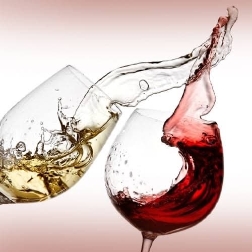 SWAN Workshop to Combat Illicit Trade in Spirits Sector