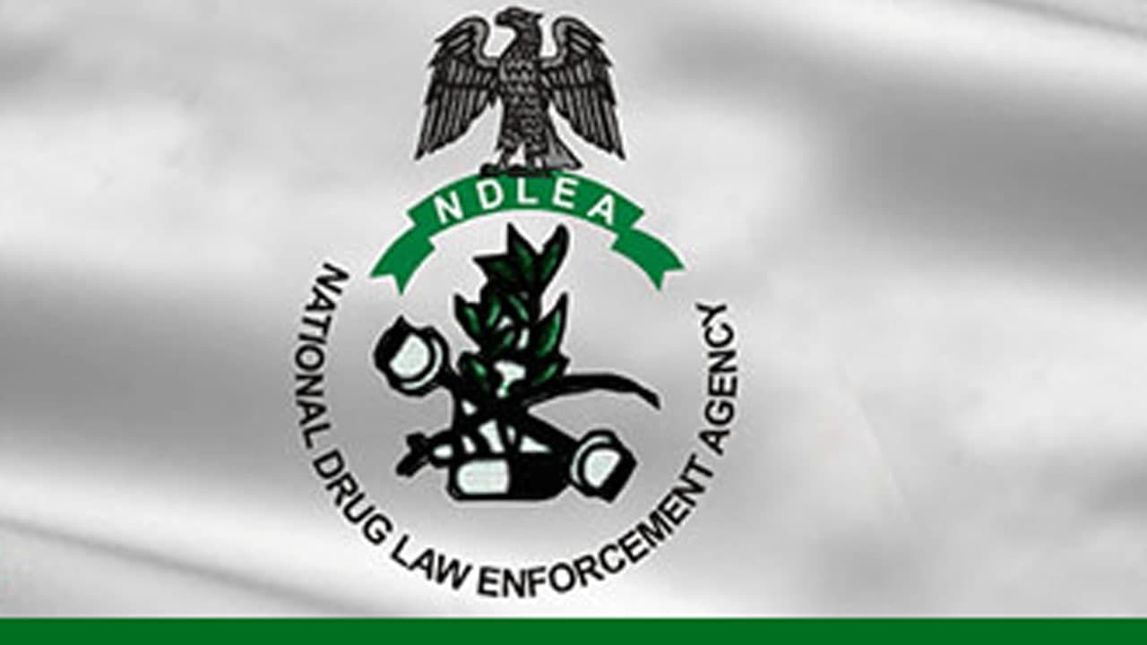 NDLEA Seizes Cocaine and Cannabis in Major Drug Busts