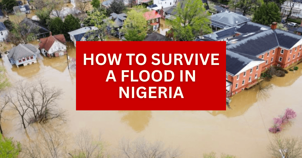 Nigeria Issues Flood Alert: 5 Survival Tips for Residents