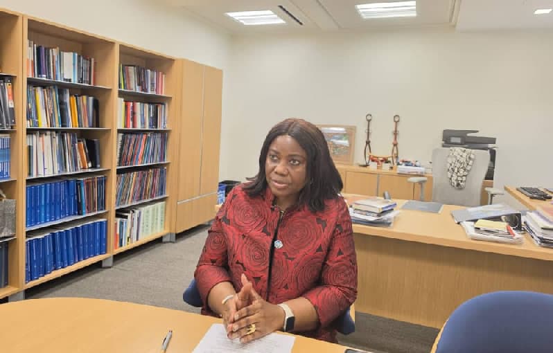 G-24 Director Explains High Borrowing Costs for Nigeria