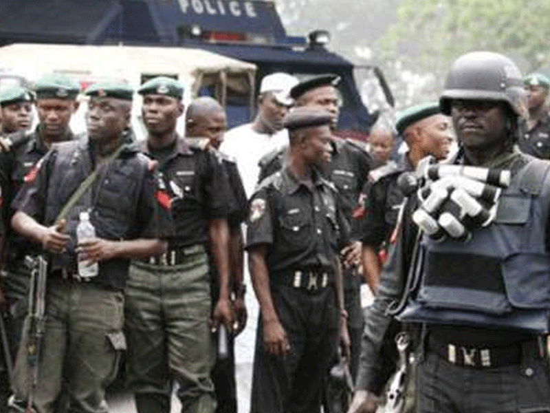 Nigeria Police Force Reviews Cases of 167 Senior Officers
