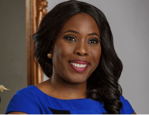 Lagos Strengthens Ties with Netherlands for Investment Summit