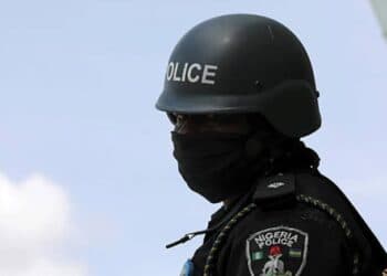 Man Arrested with Human Parts in Ondo State