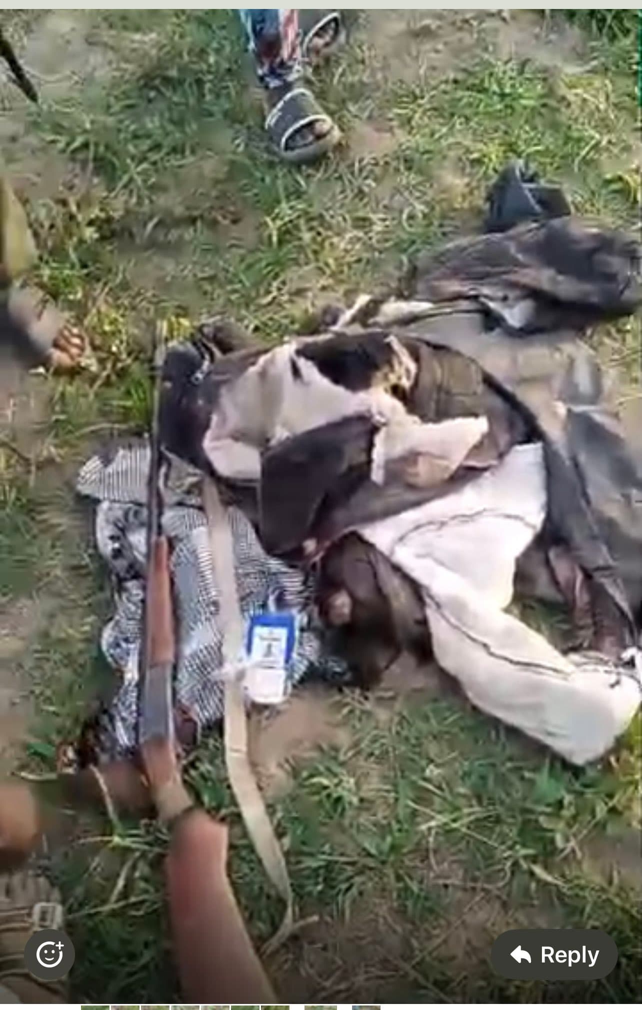 Wild Elephant Kills One in Oyo Community Attack