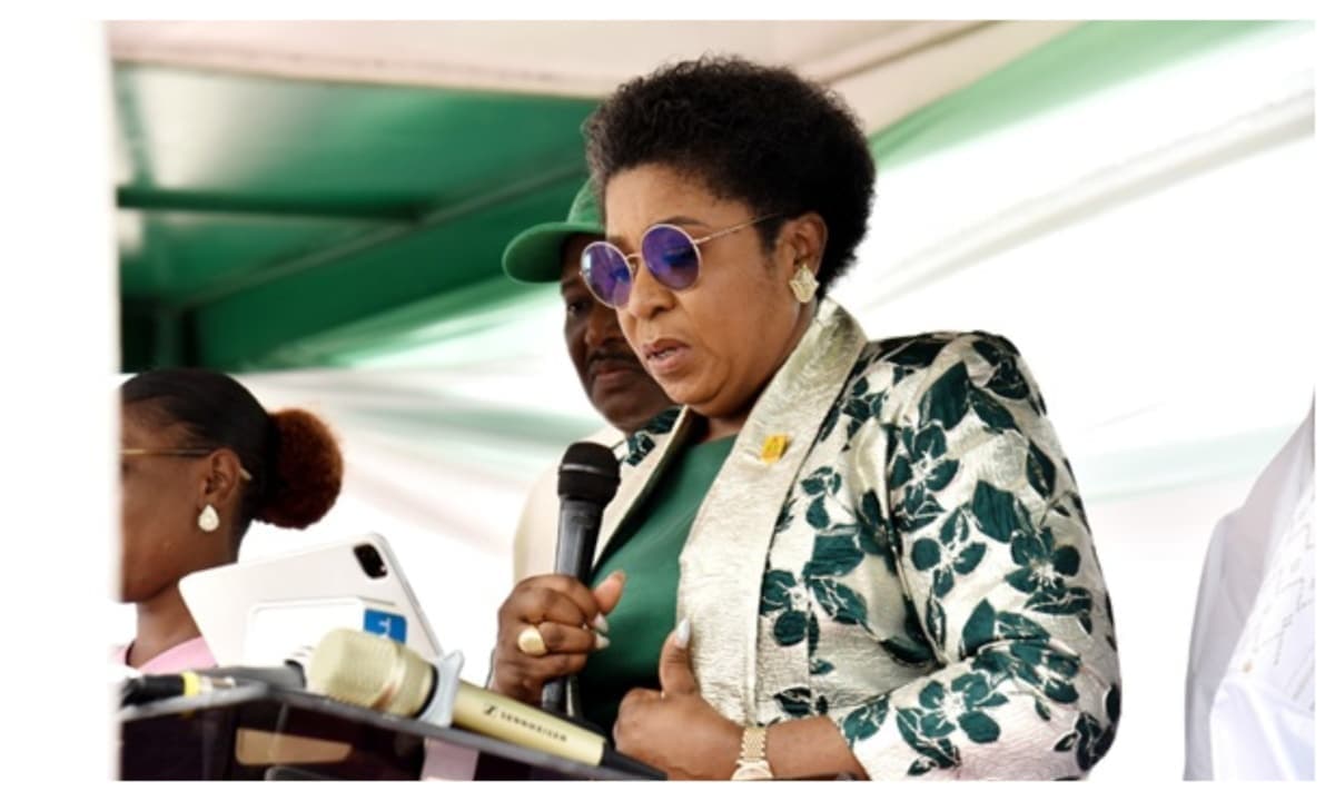 Tinubu Government Boosts Civil Servants' Benefits