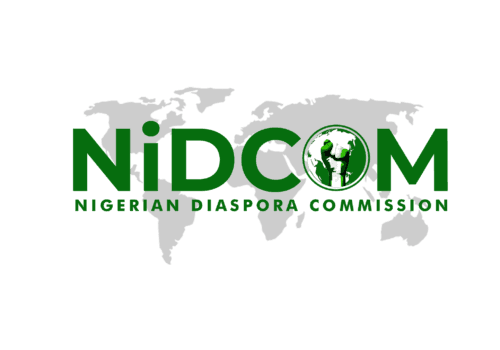 NIDCOM Warns Nigerians in South Africa Amid Protests
