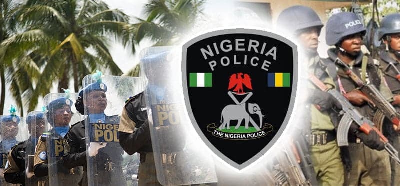 Panel Proposes New Funding Model for State Police in Nigeria