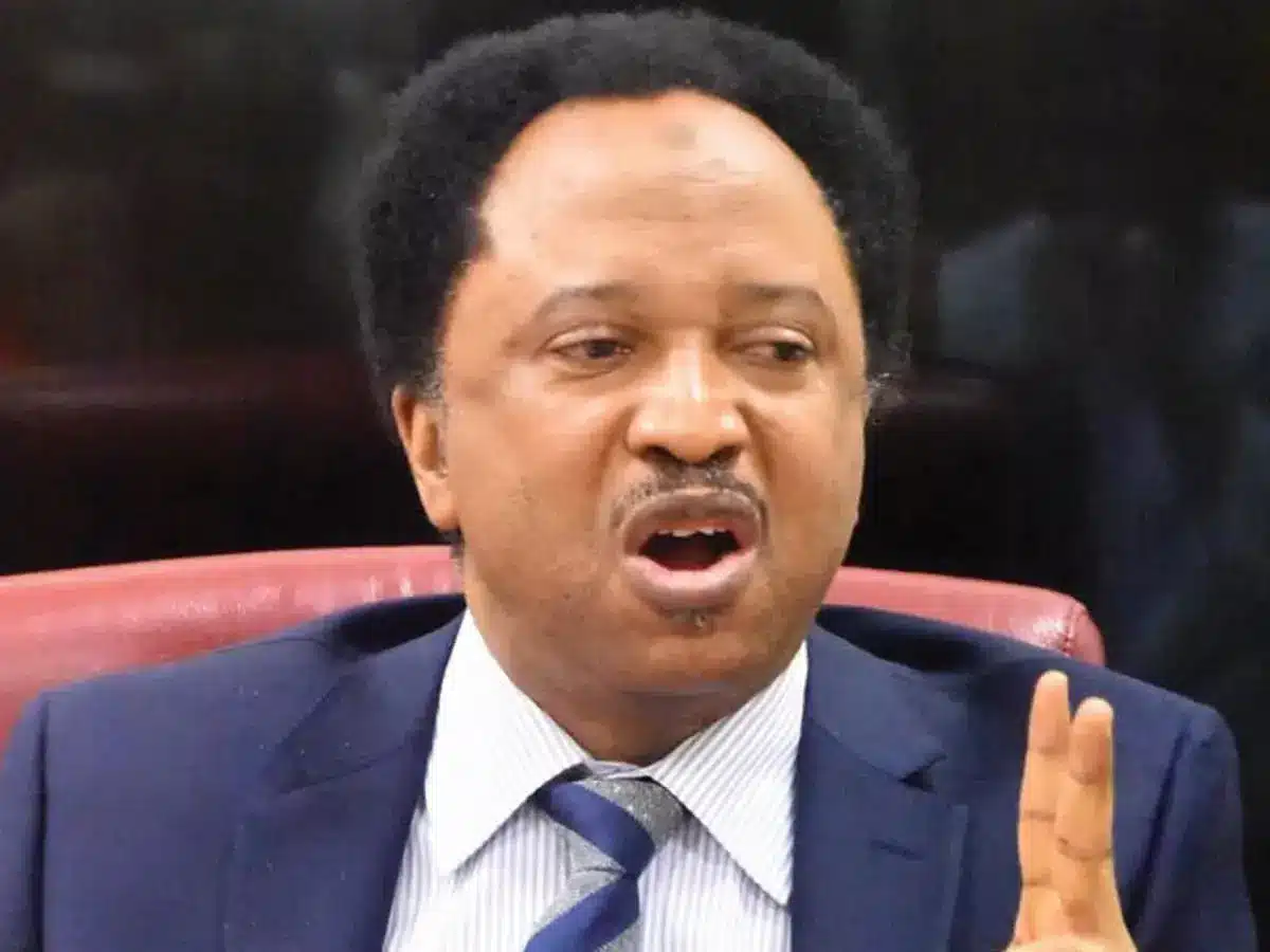 Shehu Sani: Peter Obi's Presidency Will Change Nothing
