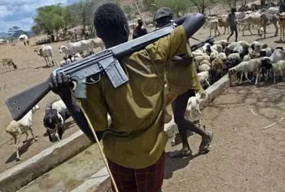 Armed Herders Kill Seven in Benue Community Attack