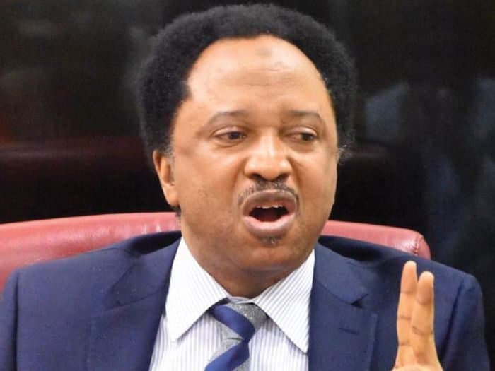 Shehu Sani Seeks Support for 2027 Senate Re-election
