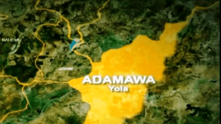 Terrorists Kill 29 Villagers in Adamawa Football Match Attack
