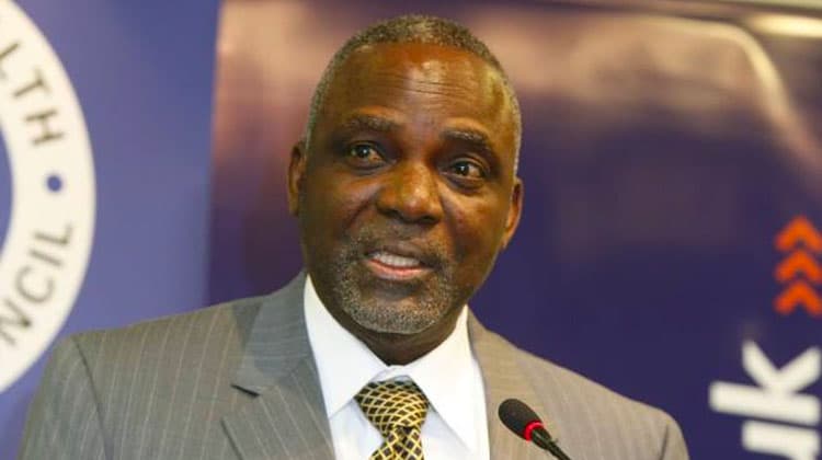 Nigeria's Power Sector Stagnates Since 2015, Nnaji Warns