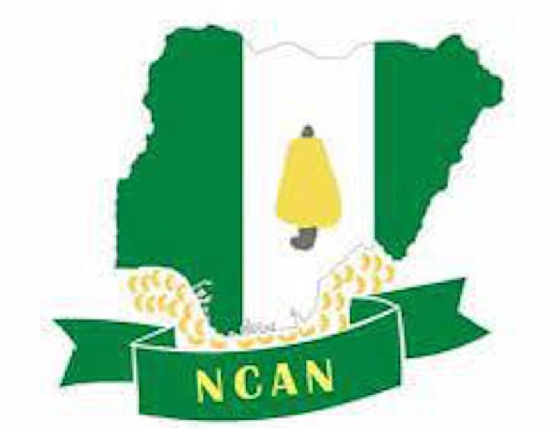 NCAN Opposes Raw Cashew Export Ban, Warns of Job Losses