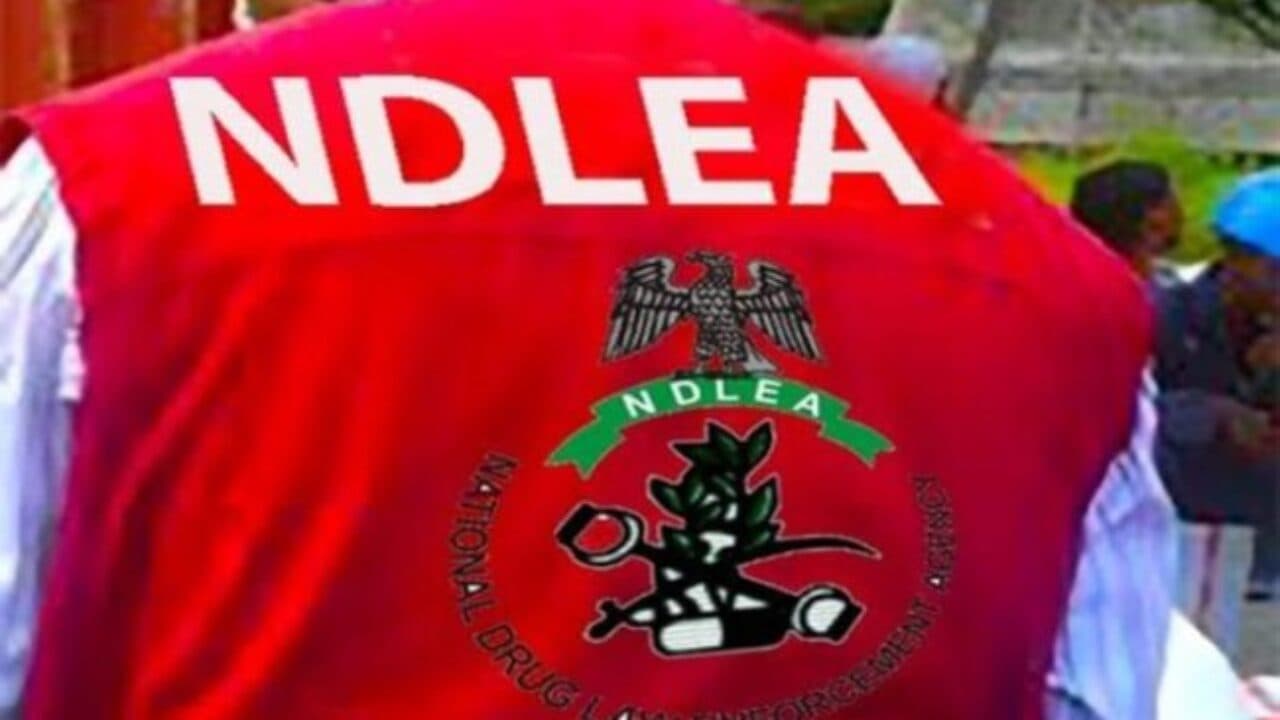 NDLEA Seizes N16.9bn Drugs in Lagos Warehouse Raid