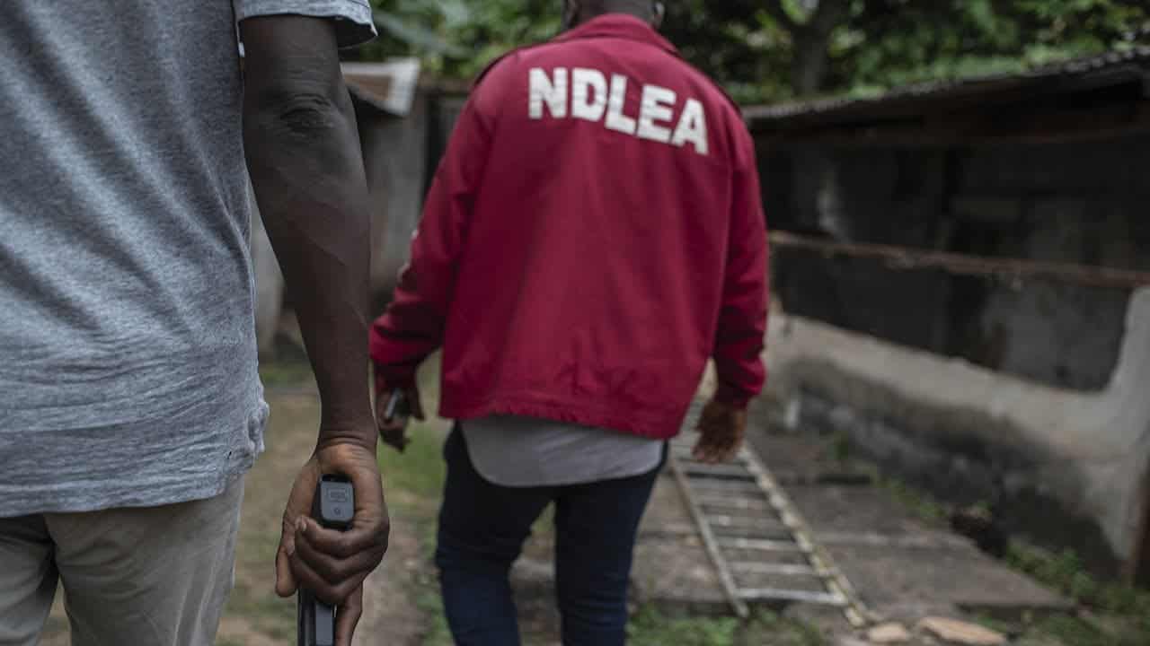 NDLEA Seizes ₦16.9bn in Lagos Drug Warehouse Raids