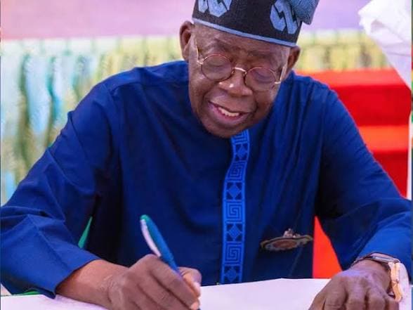 Nigeria Urged to Establish National Carbon Market Office