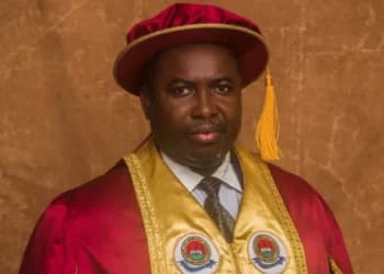 ADC Youth to Protest INEC Chairman in Three States