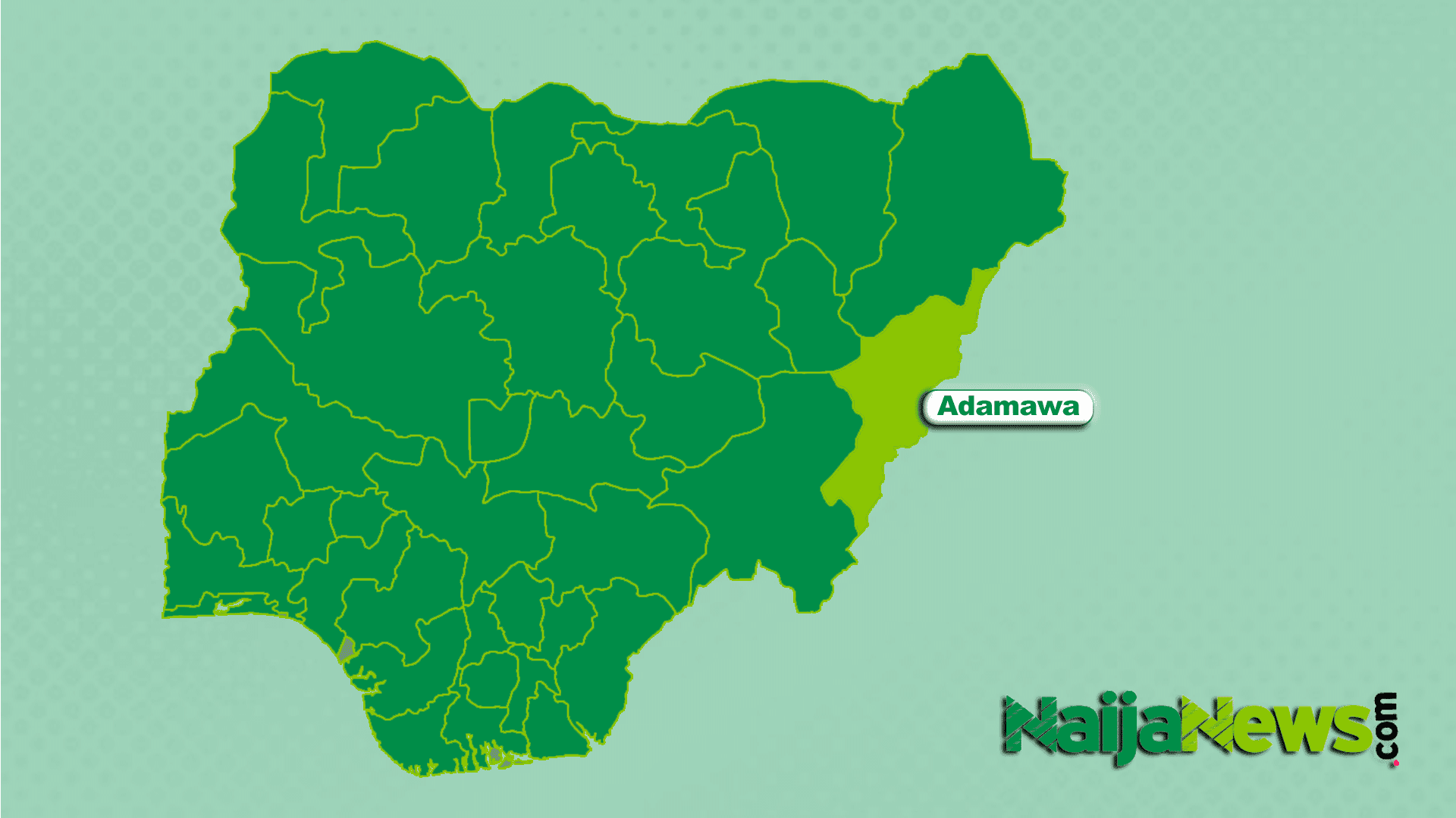 Adamawa State Commissioners Resign Ahead of Elections